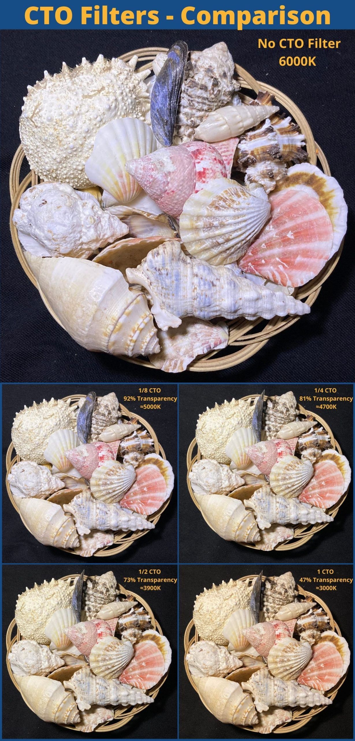 Comparison of CTO filters displayed with various seashells in a basket.