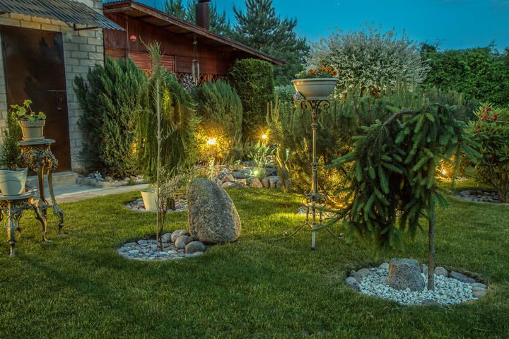 Outdoor garden area with illuminated trees and decorative stones at dusk