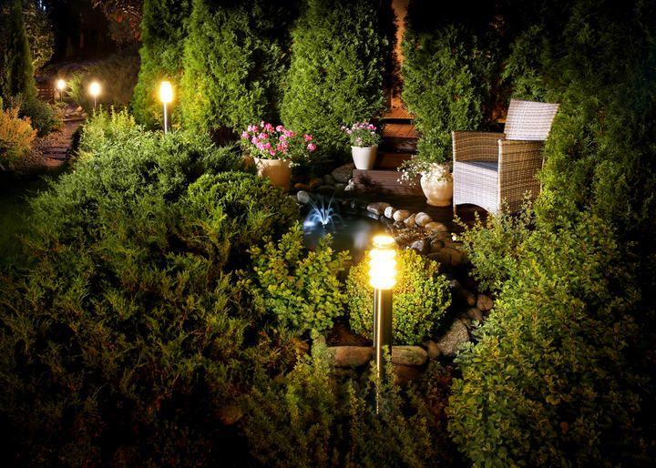 Garden illuminated by LED lights, featuring a serene pond and flowers.
