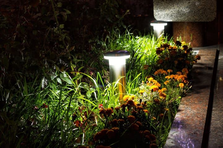 Modern LED garden lights illuminating vibrant flowers and greenery at night.