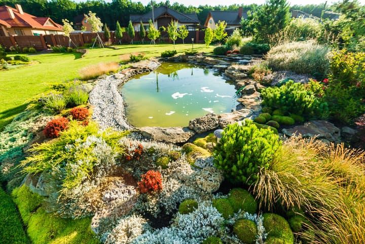 Lush garden featuring a pond surrounded by colorful flowers and greenery.