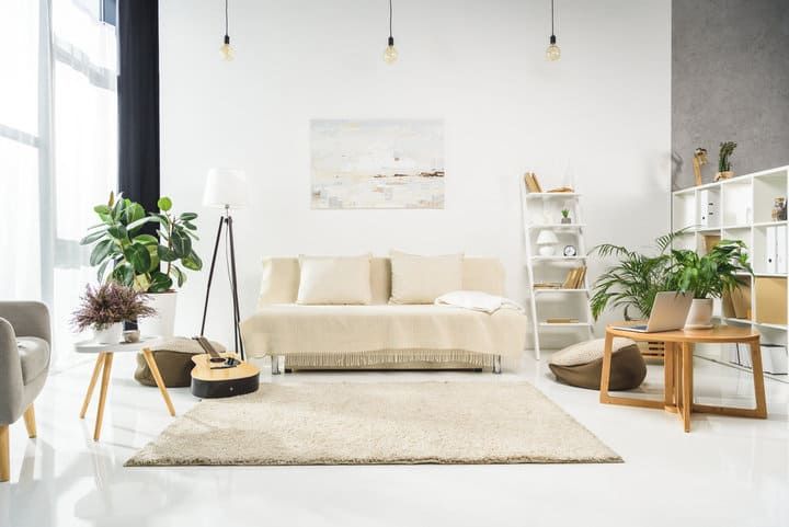 Bright, modern living room with plants, cozy couch, and artwork.