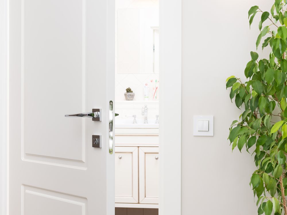 Bright and clean bathroom seen through an open white door with plants.