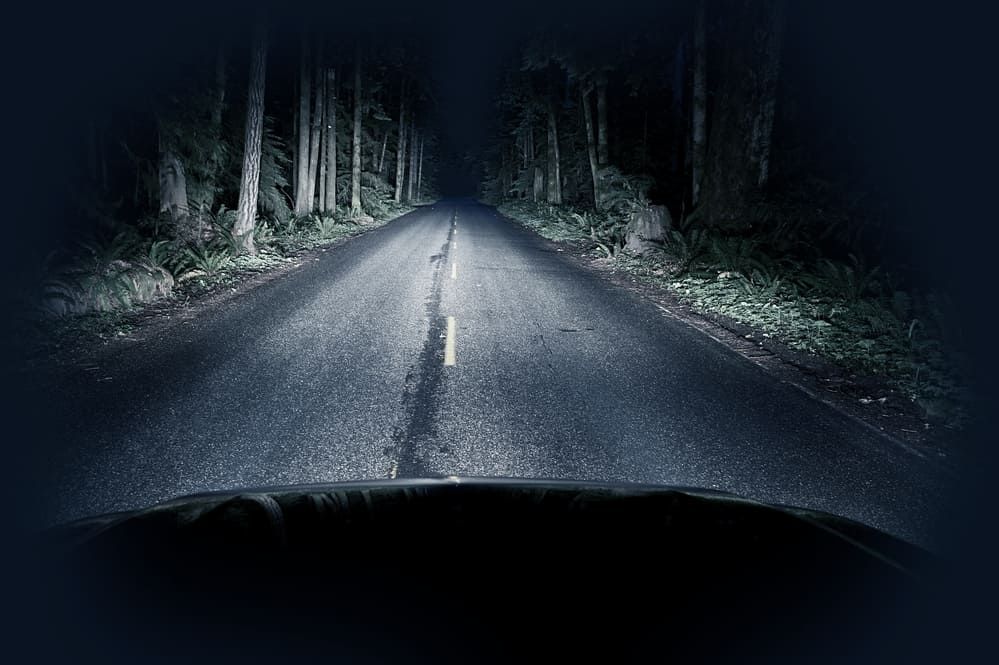 Dimly lit forest road viewed from a car with LED headlights illuminating the path.
