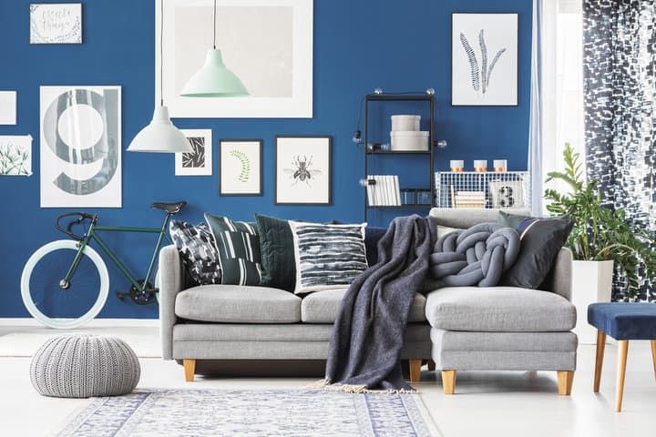 Cozy living room with grey sofa, decorative pillows, and blue wall art.