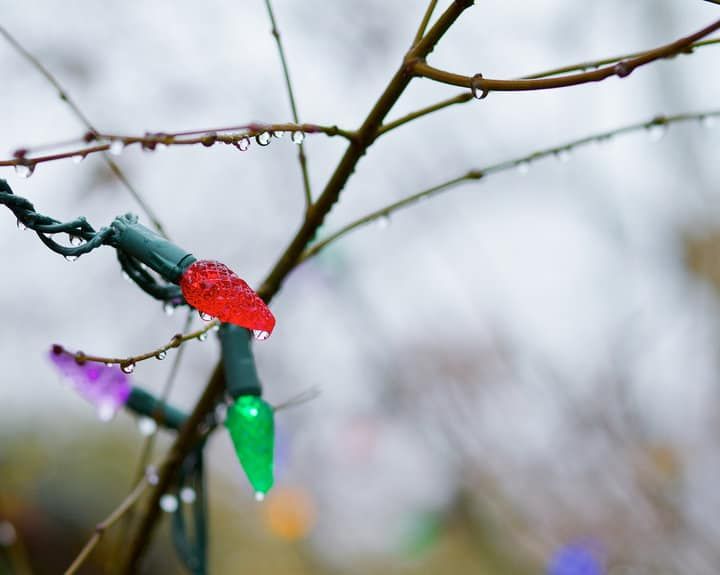 Colorful LED lights on branches with raindrops in a blurred background.