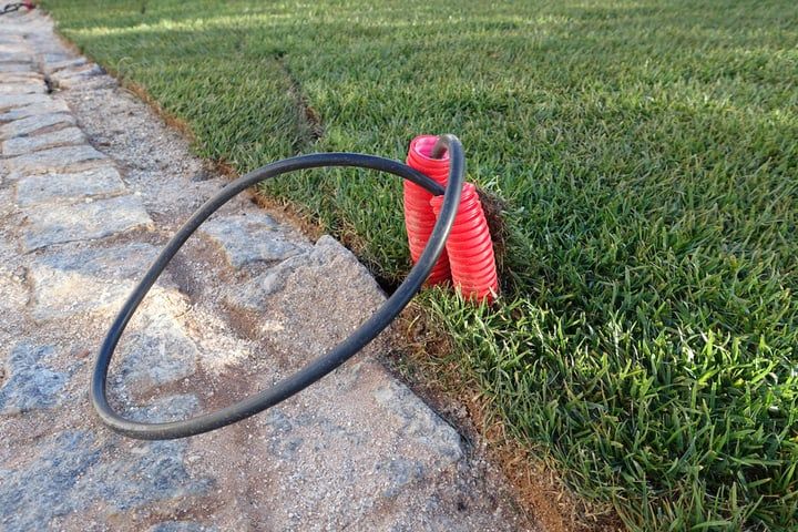 A black hose lies beside a red coiled pipe on grass.