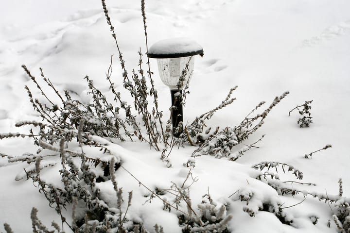 A decorative LED garden light surrounded by snow-covered plants.