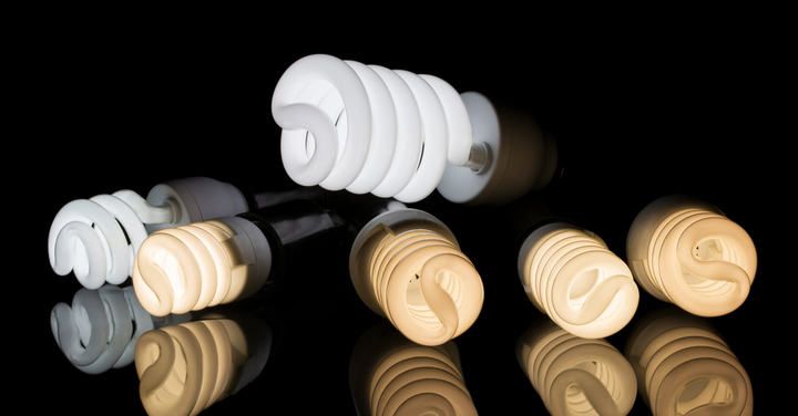 Various compact fluorescent light bulbs in different colors and sizes on a reflective surface.