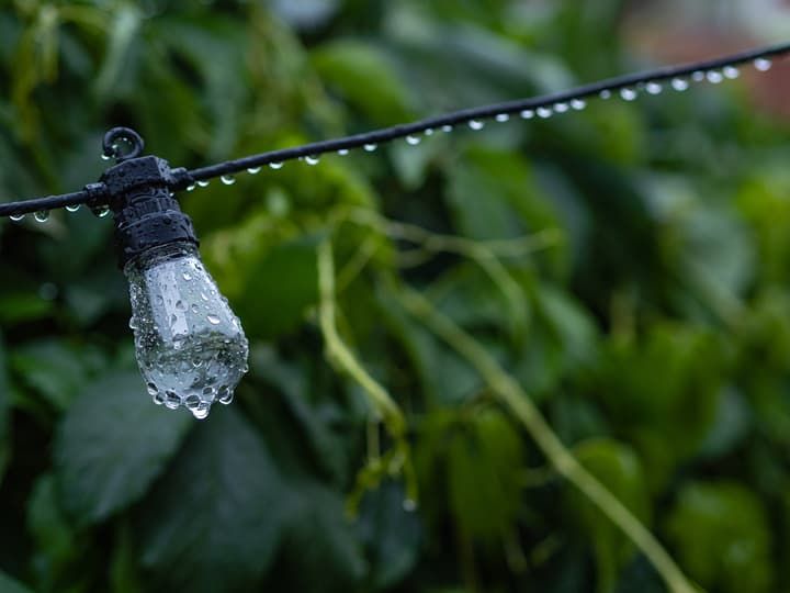 A rain-soaked LED bulb hanging from a wire amidst lush green foliage.