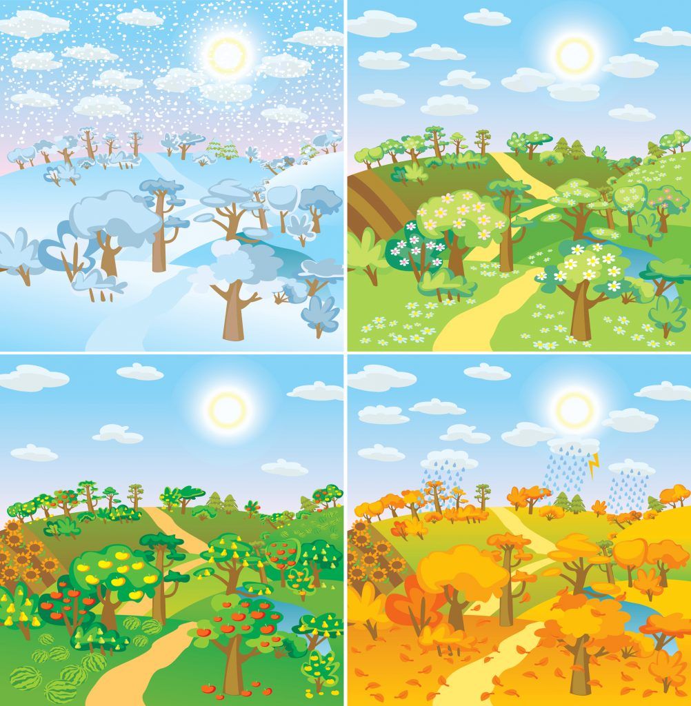 Four seasonal landscapes showing snow, blooming flowers, sunny days, and autumn colors.