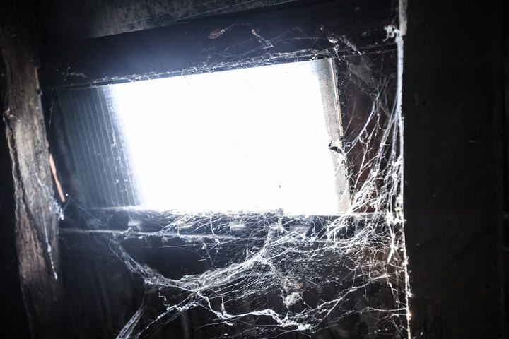 Bright light shining through a dusty, cobweb-covered window.