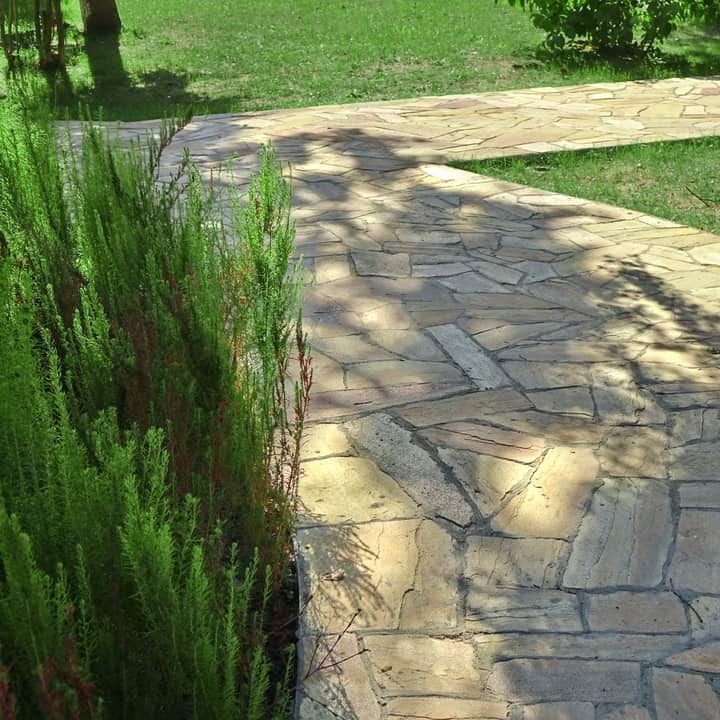 A stone pathway curves through a lush grassy area with vibrant greenery.