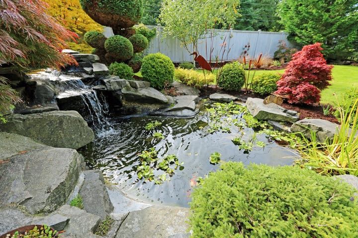A serene garden featuring a pond with water lily pads, rocks, and lush greenery.