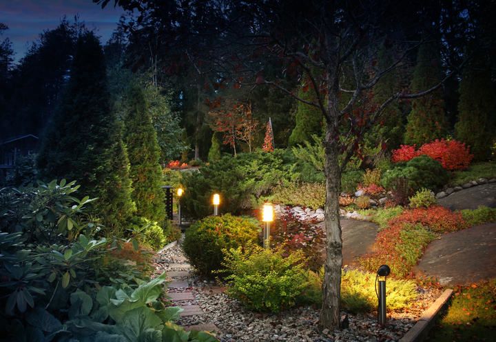 Pathway illuminated by LED lights, surrounded by lush greenery and colorful plants.