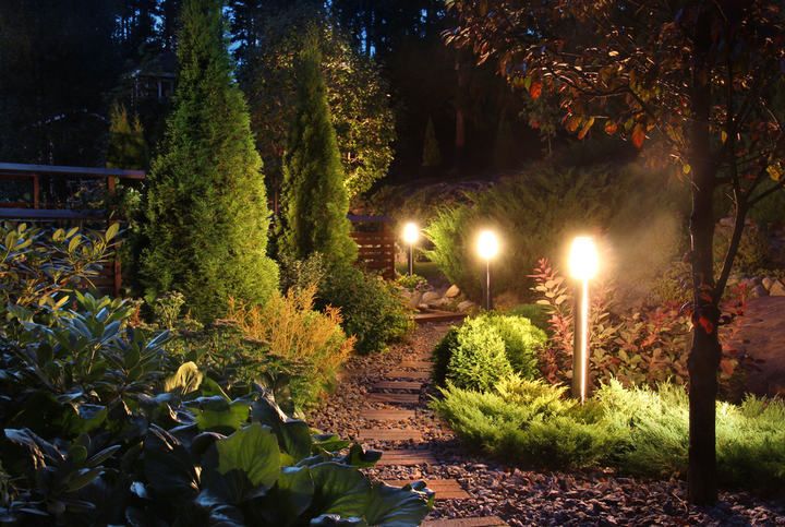 A beautifully lit garden path with LED lights illuminating greenery and trees at night.