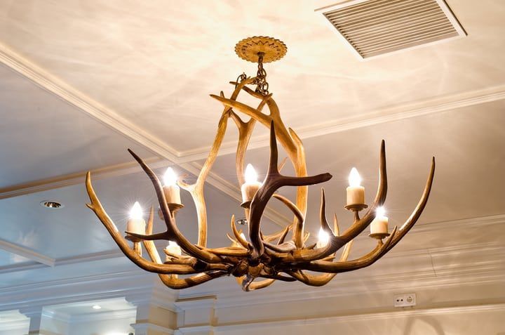 Chic antler chandelier with soft glowing lights in a stylish room.