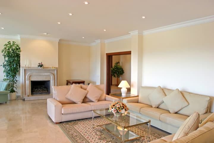Brightly lit living room with a comfortable sofa and decorative plants.