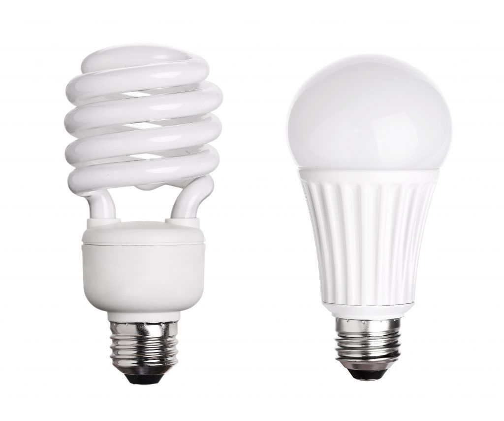 Two types of energy-efficient light bulbs, one spiral and one globe shaped.