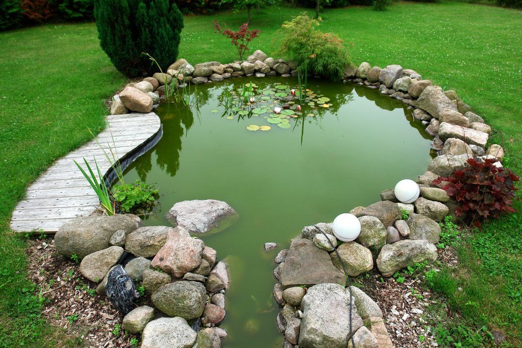 Serene garden pond surrounded by stones, with lily pads and greenery.