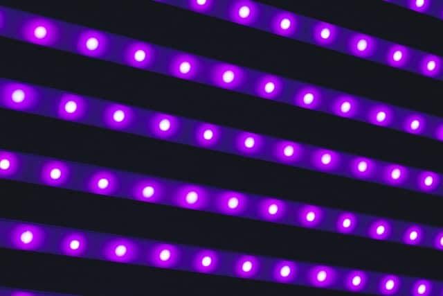 LED lights arranged in parallel rows emitting a vibrant purple glow.