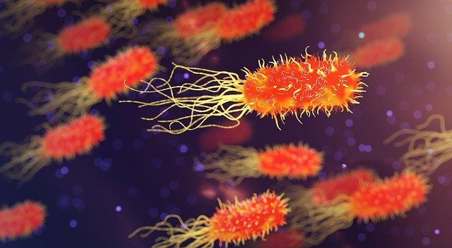 Colorful abstract representation of glowing microbes with tendrils on a dark background.