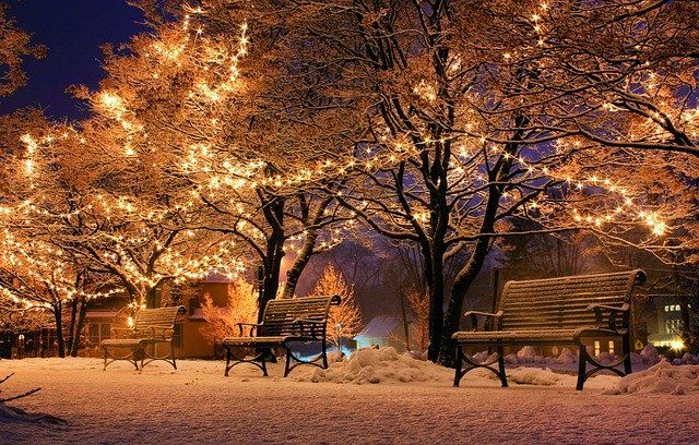 Benches surrounded by trees adorned with glowing LED lights in winter.