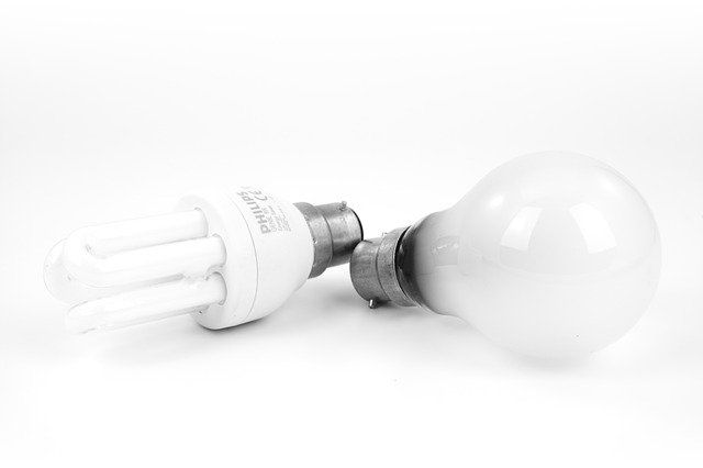 Two types of light bulbs: a compact fluorescent and a traditional bulb.