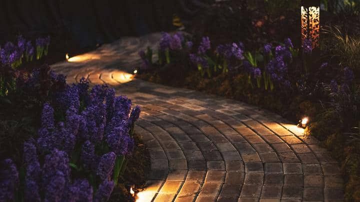 A winding brick path illuminated by soft LED lights and surrounded by purple flowers.