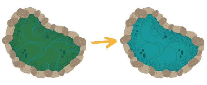 Two organic shapes with green and blue colors outlined by stones, showing a transformation.