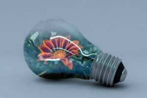 A transparent light bulb with a vibrant flower design inside it.
