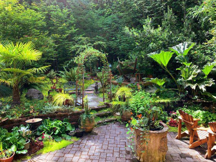 A lush garden with various plants, trees, and stone pathways.