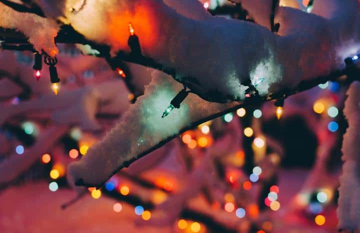 Colorful LED lights on snowy branches create a festive winter scene.