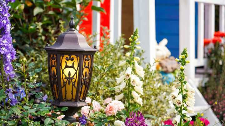 A decorative lantern surrounded by colorful flowers in a vibrant garden.