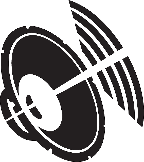 A black speaker icon with sound waves emanating from it.