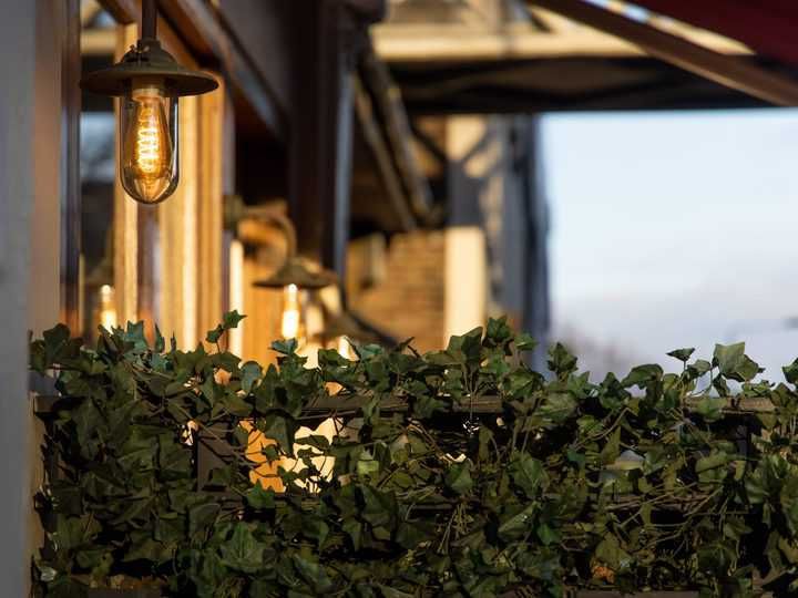 Warm LED bulbs illuminate a cozy outdoor setting with leafy green decor.